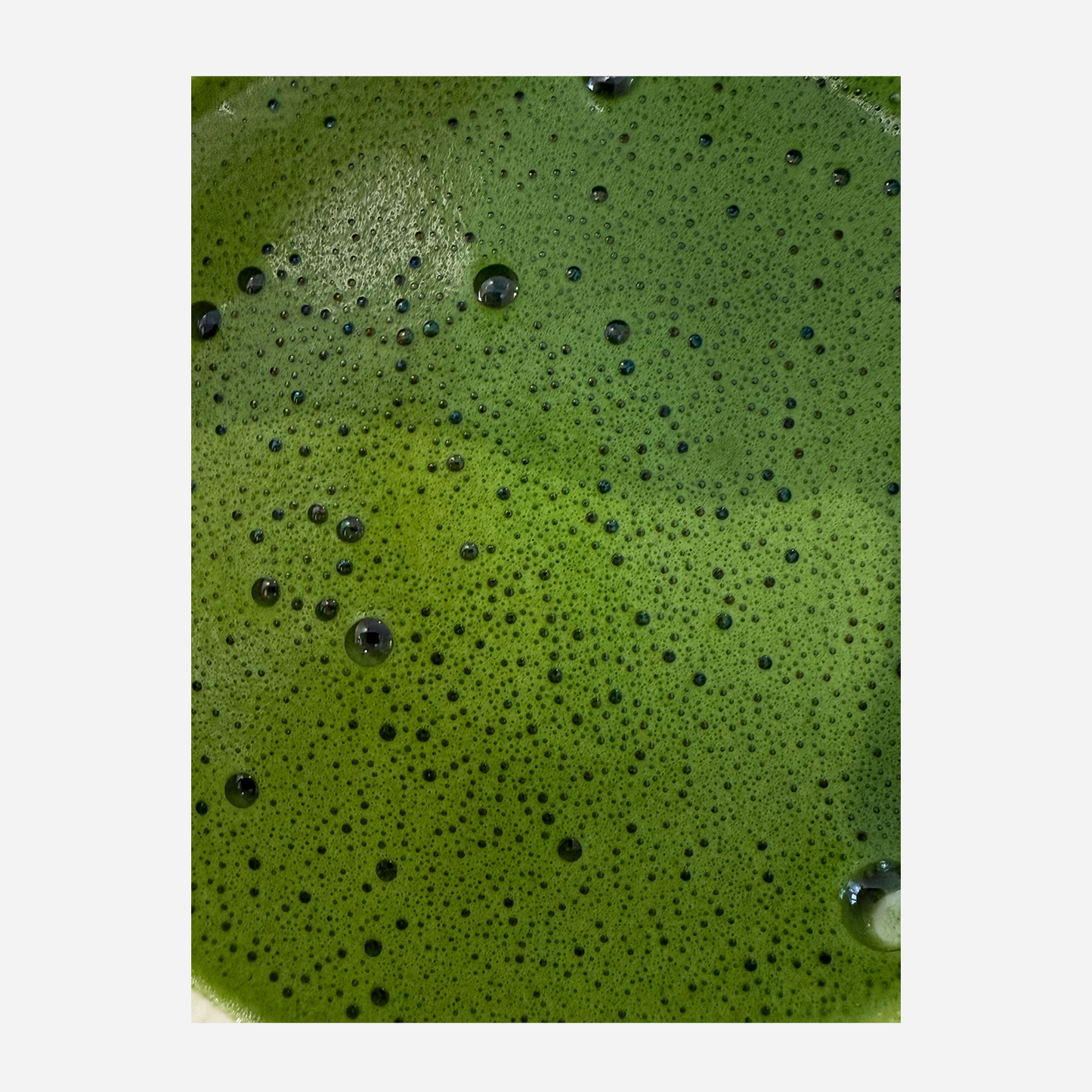 JACQUES Kirishima Matcha 30g